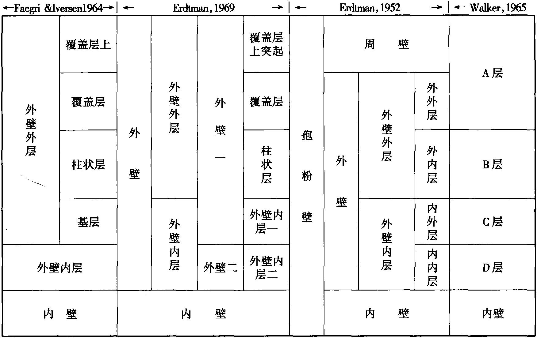 (一)花粉的形態(tài)特征以及各種表現(xiàn)形式